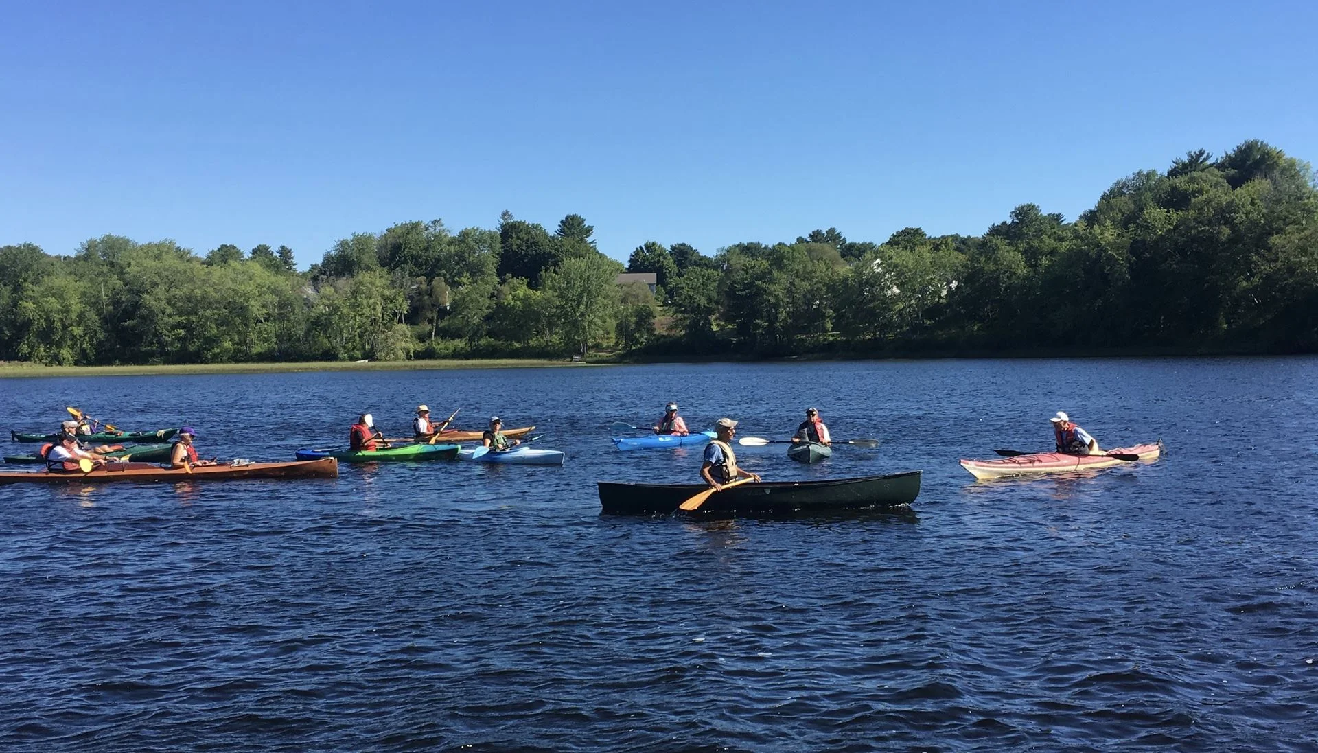 Paddlers2.jpeg