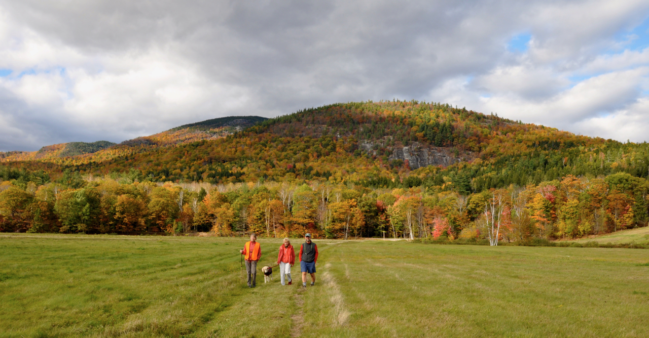 Hikers below First Mtn (ely).jpg