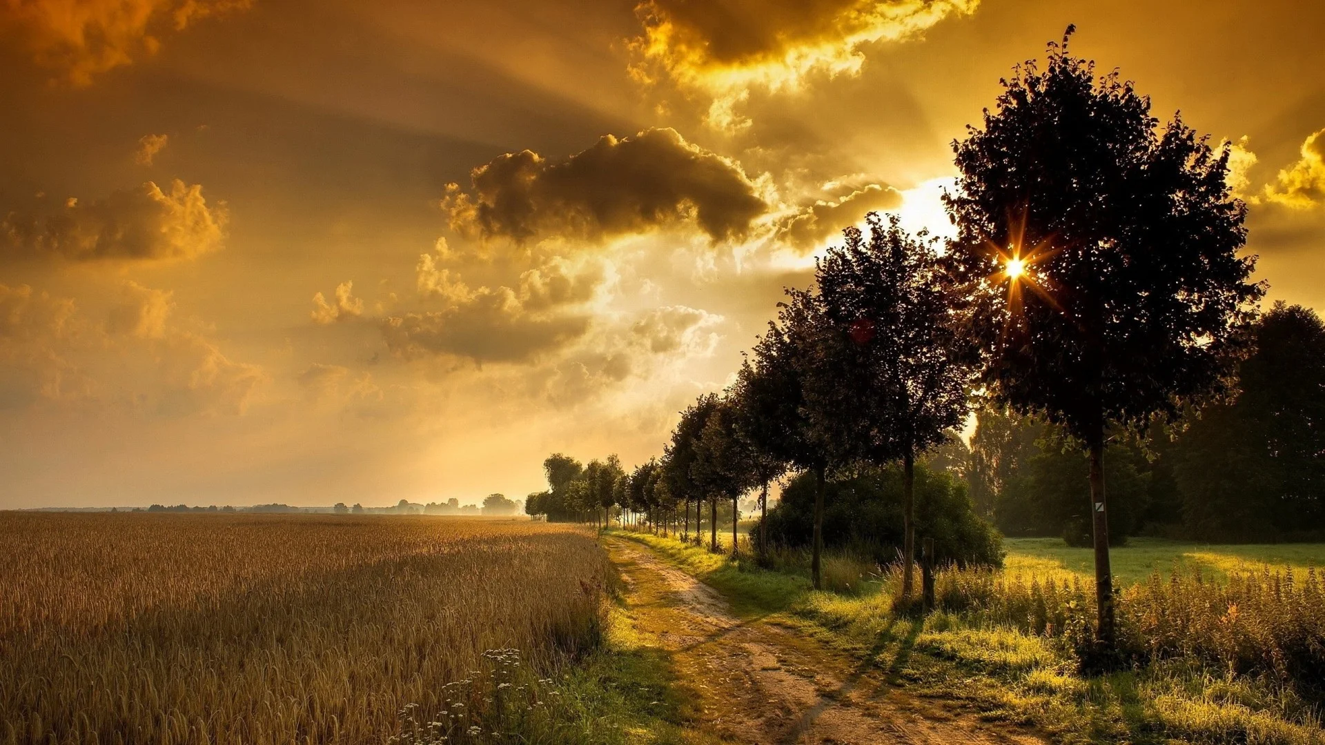 Gorgeous-road-wallpaper-45500-46725-hd-wallpapers-1920x1080.jpg