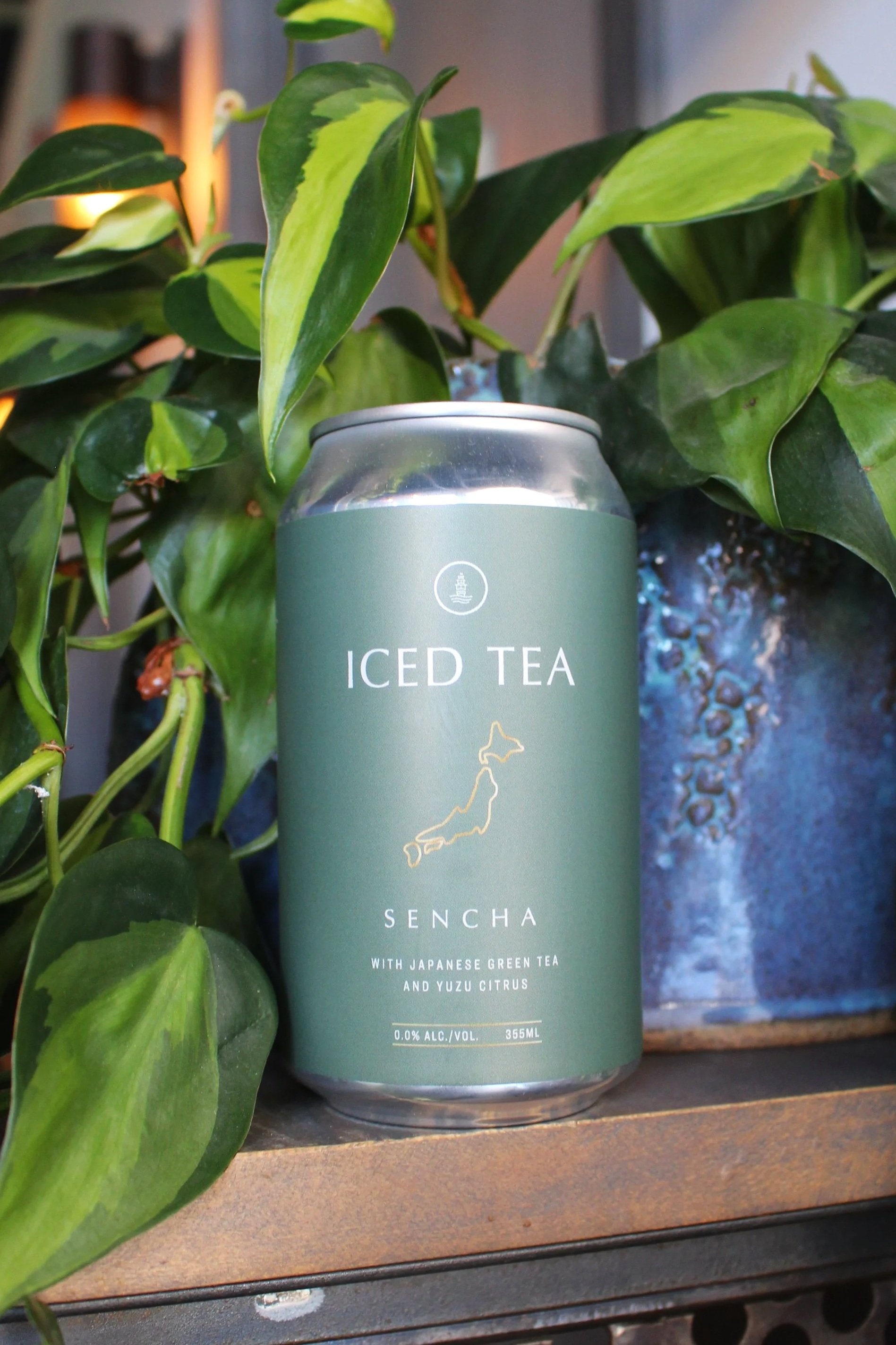 Iced Tea: Sencha