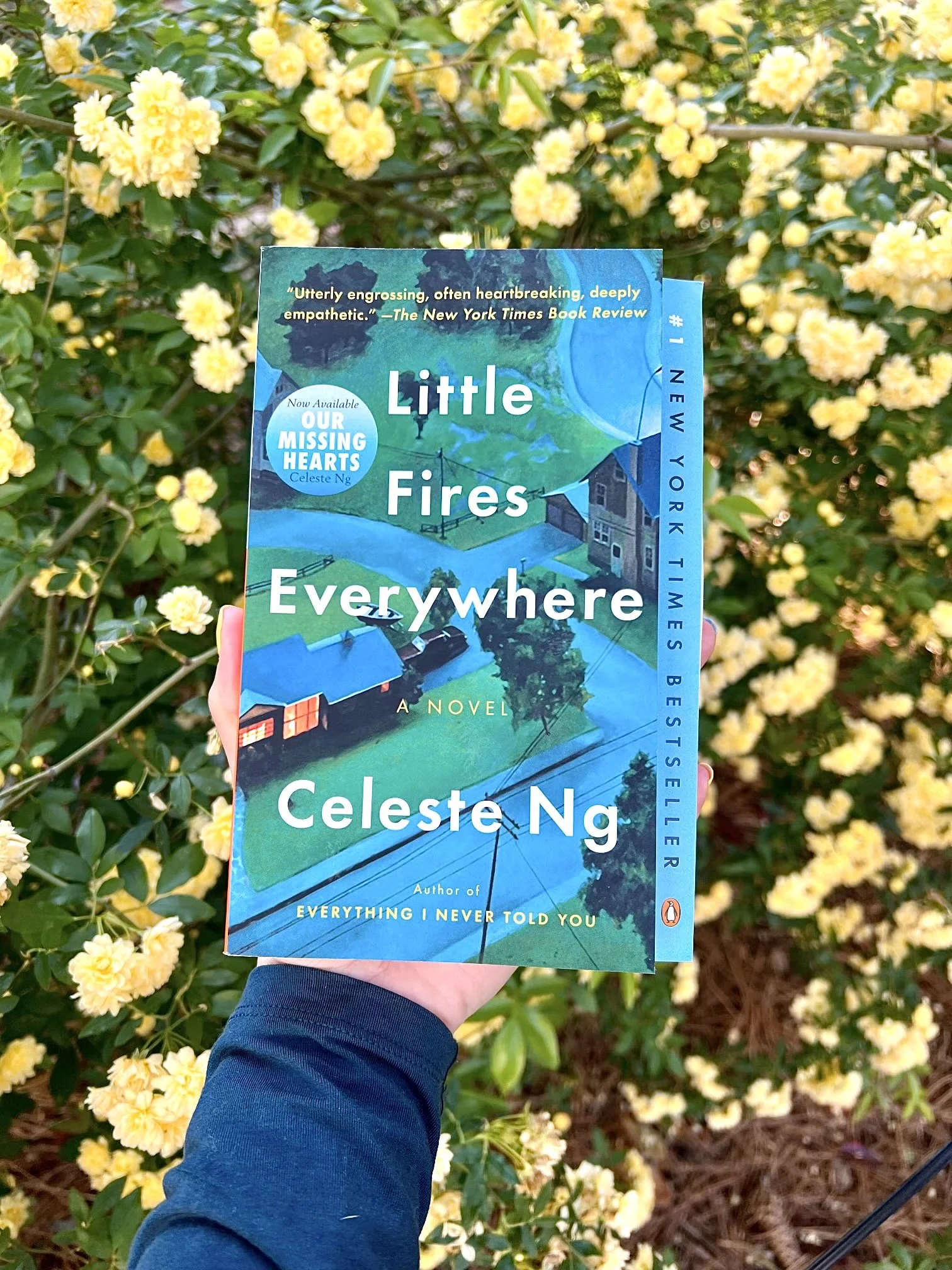 MY Book Club - Little Fires Everywhere