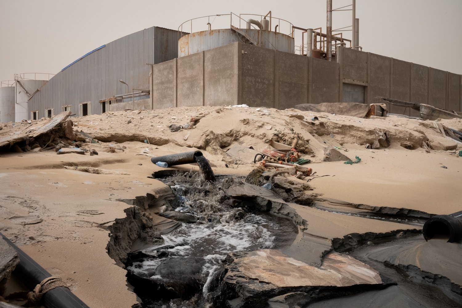  In Fabriken am Strand Mauretaniens wird ein beträchtlicher Teil des Fangs zerhackt, getrocknet und zu Mehl und Öl verarbeitet.  