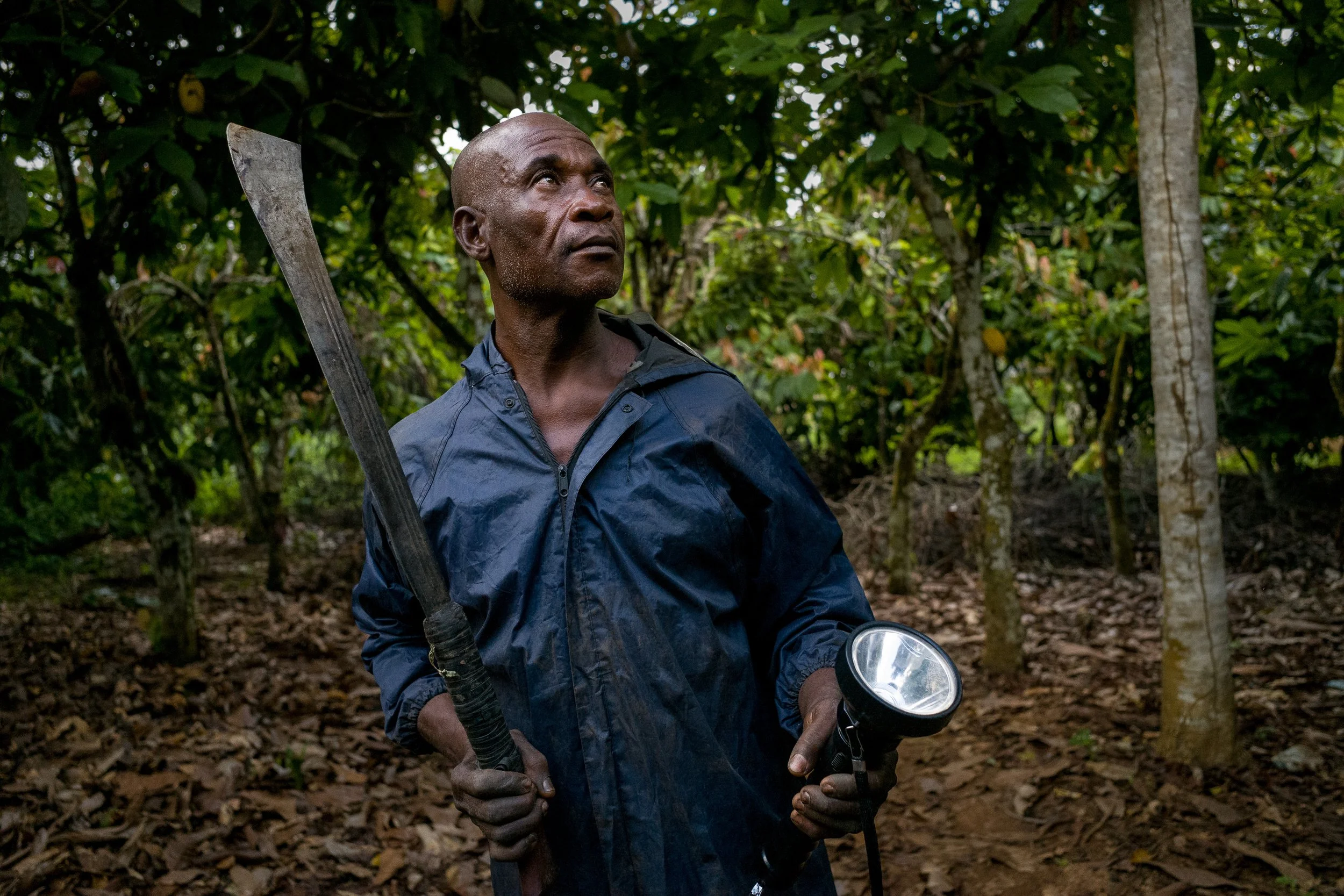  Mbite Diudonne läuft im Juli 2025 in Ntui durch eine Kakao-Plantage. Er ist der Präsident einer von mehreren Bürgerwehren, die in Kamerun den wertvollen Rohstoff und seine Besitzer vor Räubern beschützen. 