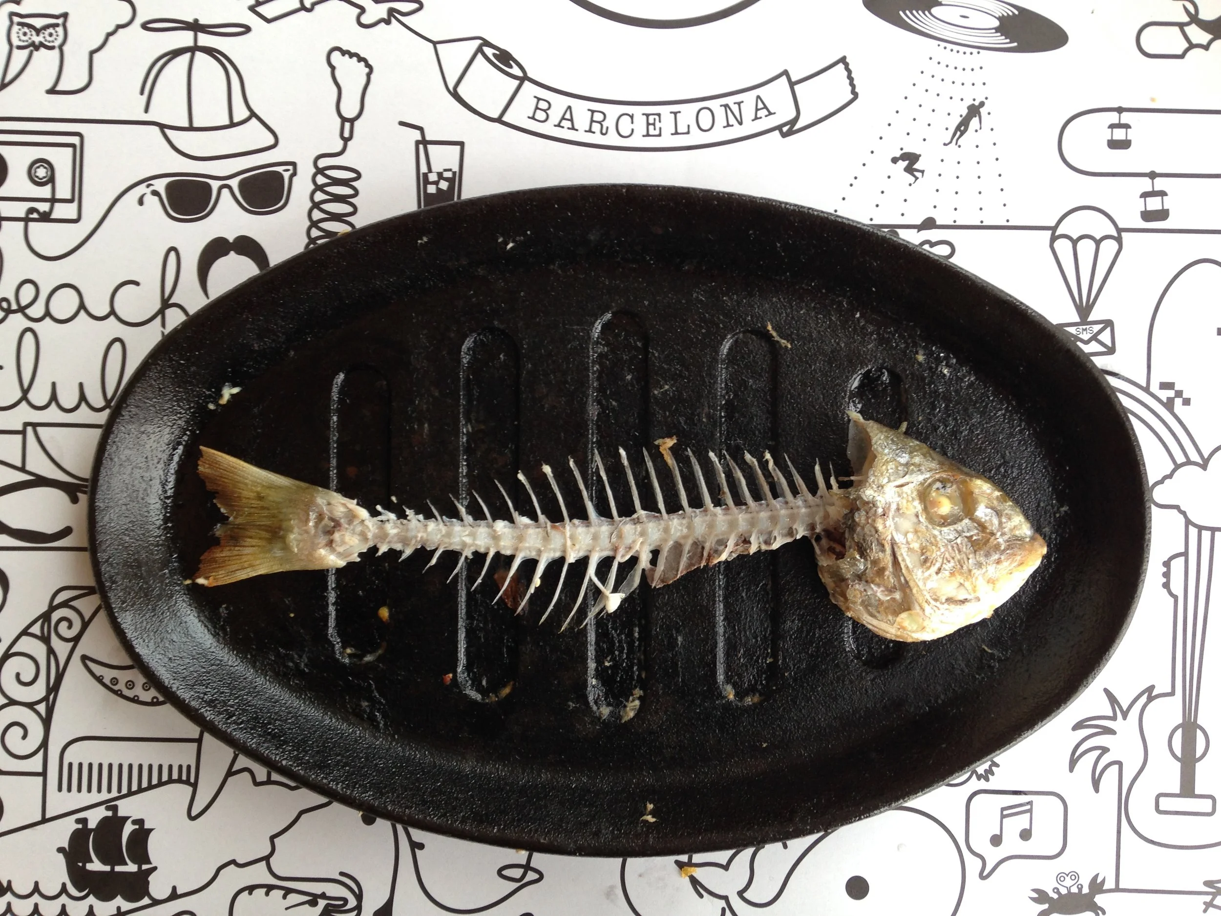 untitled (402 of 429)Immitating Picaso Fish.jpg