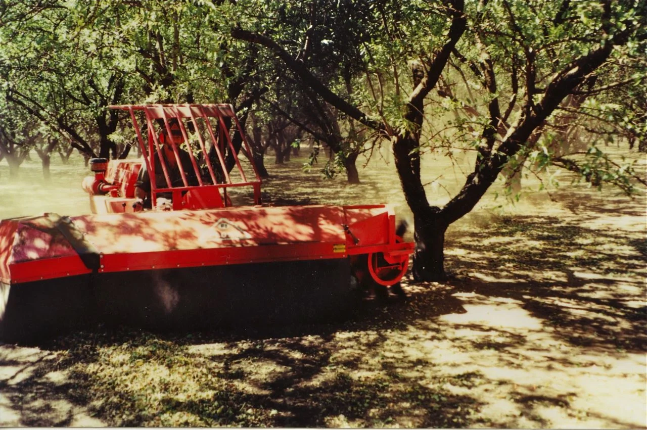 Almonds 5.jpg