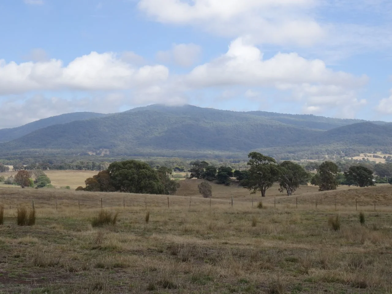 landscape Fred.jpg