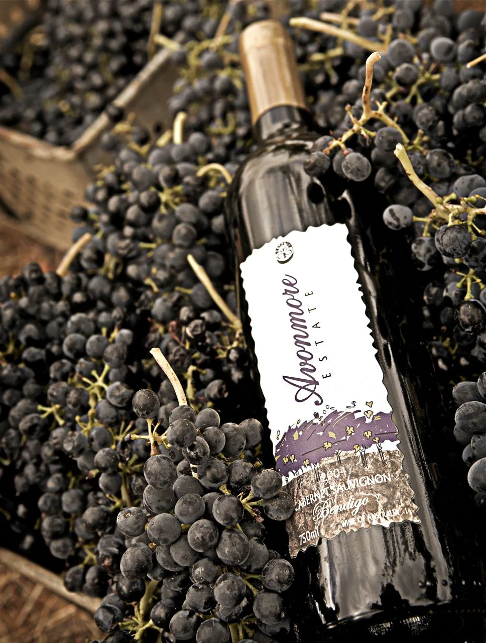 Wine + Beef — BioSoil