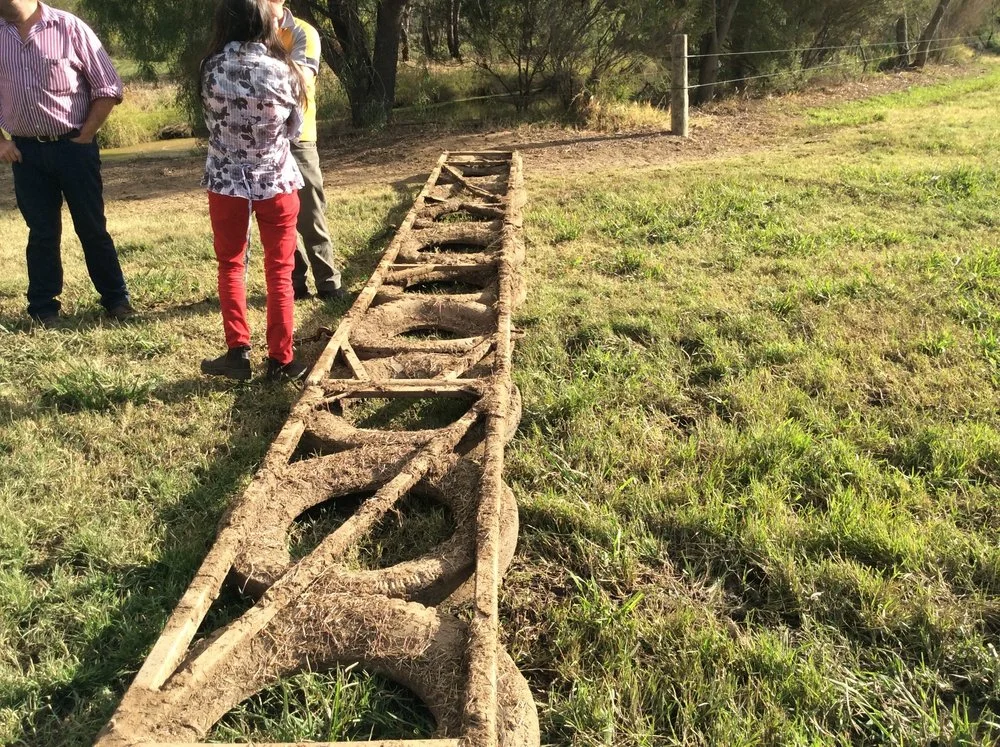 Homemade pasture harrows