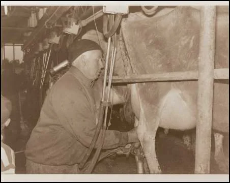 Don Rathbone Milking before retirement.