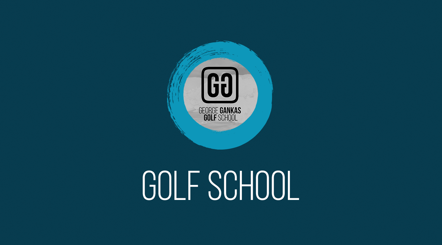 golfSChoolPanel.png