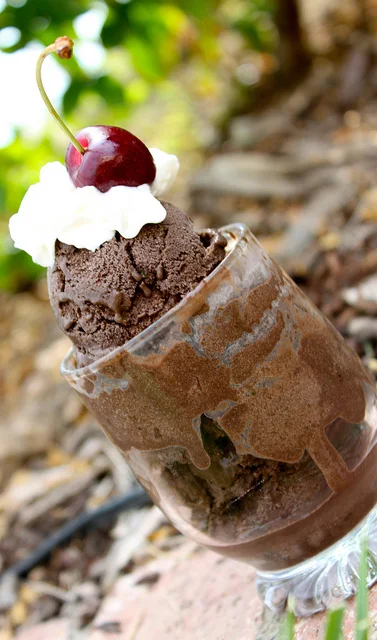 Chocolate Cherry Basil Ice Cream
