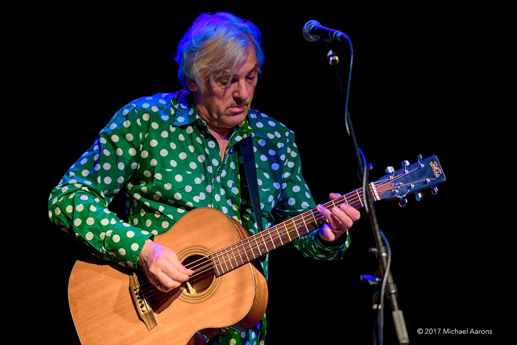 Robyn Hitchcock