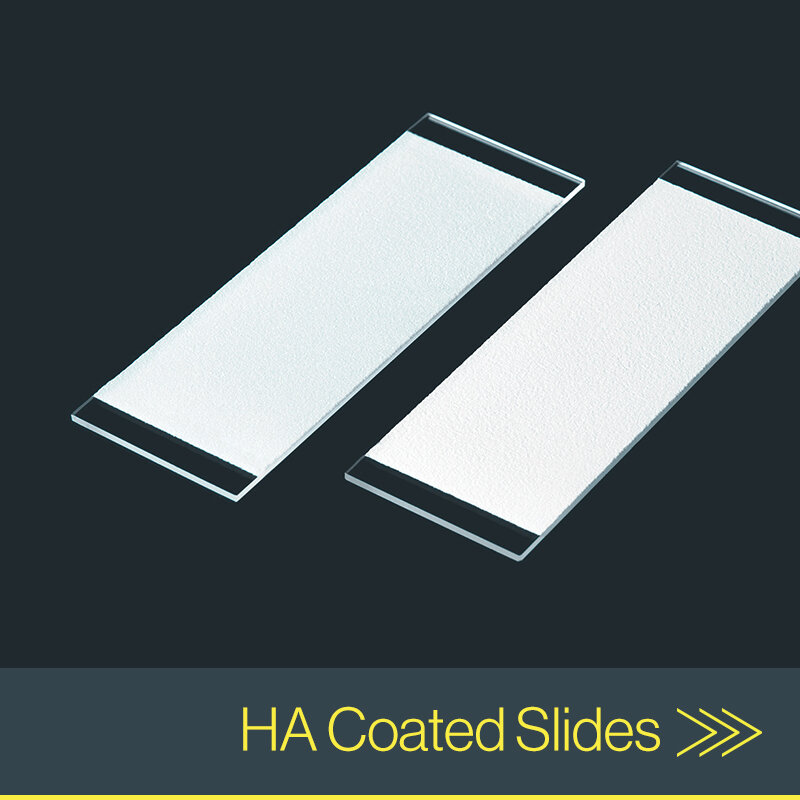 HA Coated Slides