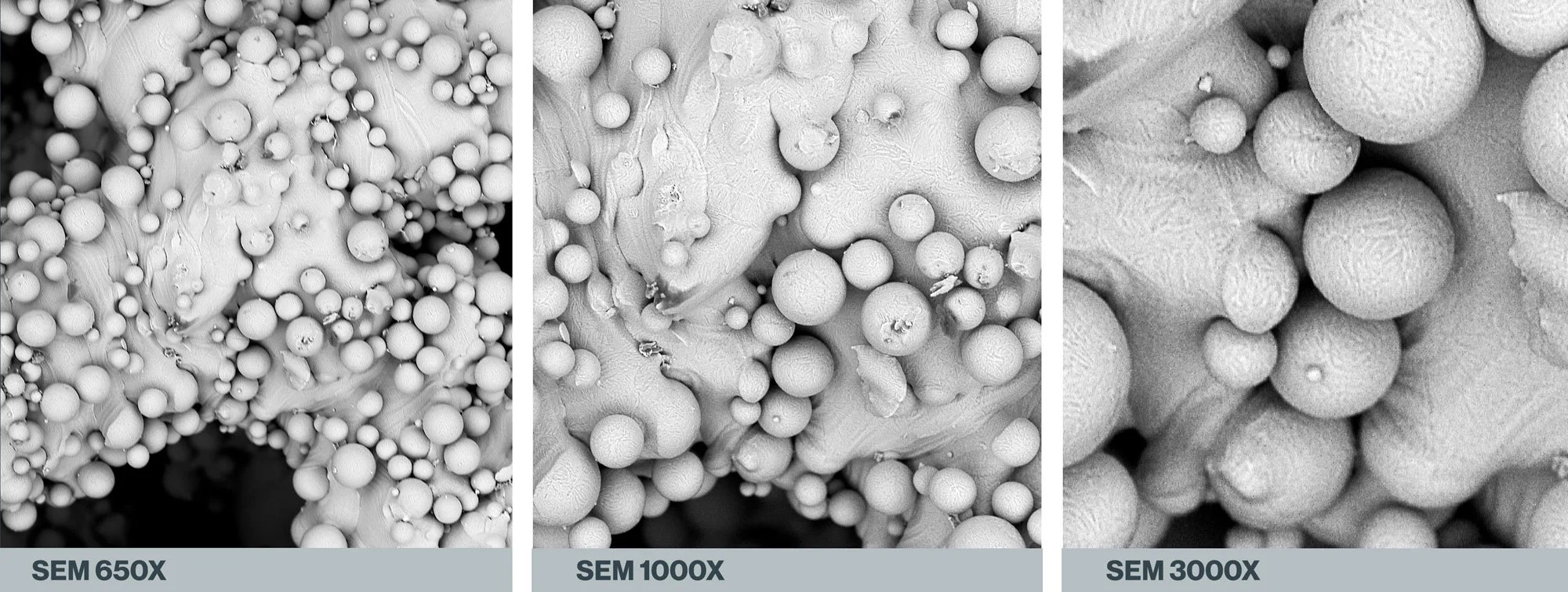 Three monochrome microscope images of increasing magnification showing titanium beads adhered to the surface of a 3d-printed titanium medical implant