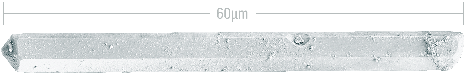 Close-up of a 60-micrometer wide hydroxyapatite whisker particle with a faceted, rod-like, form.