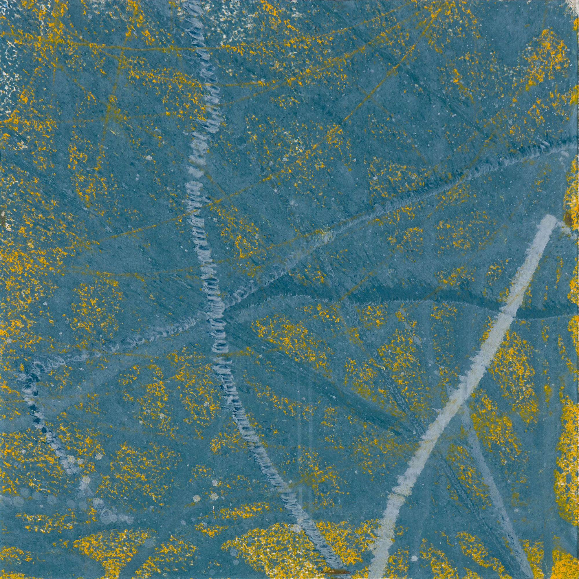 Initial Reports | 24" x 24" | Oil | Plexi