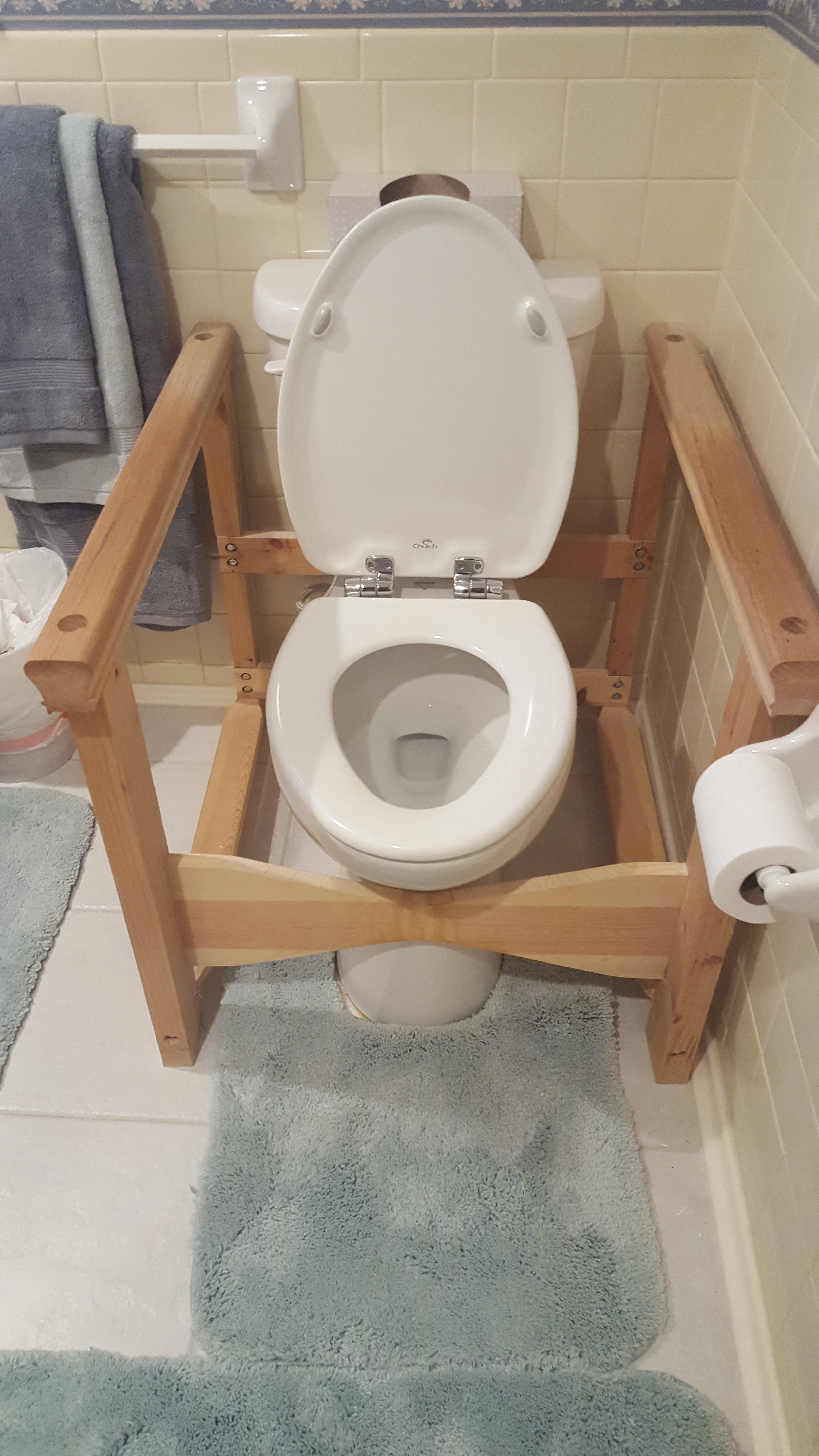 stay_at_home_solutions_toilet.jpg