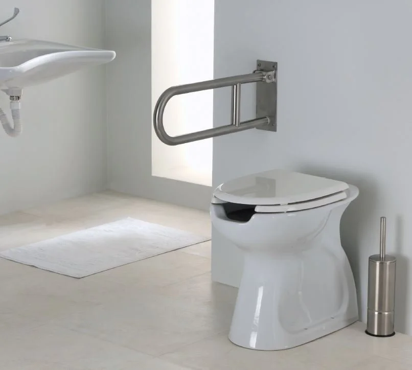 Stainless Steel Folding Grab Bar