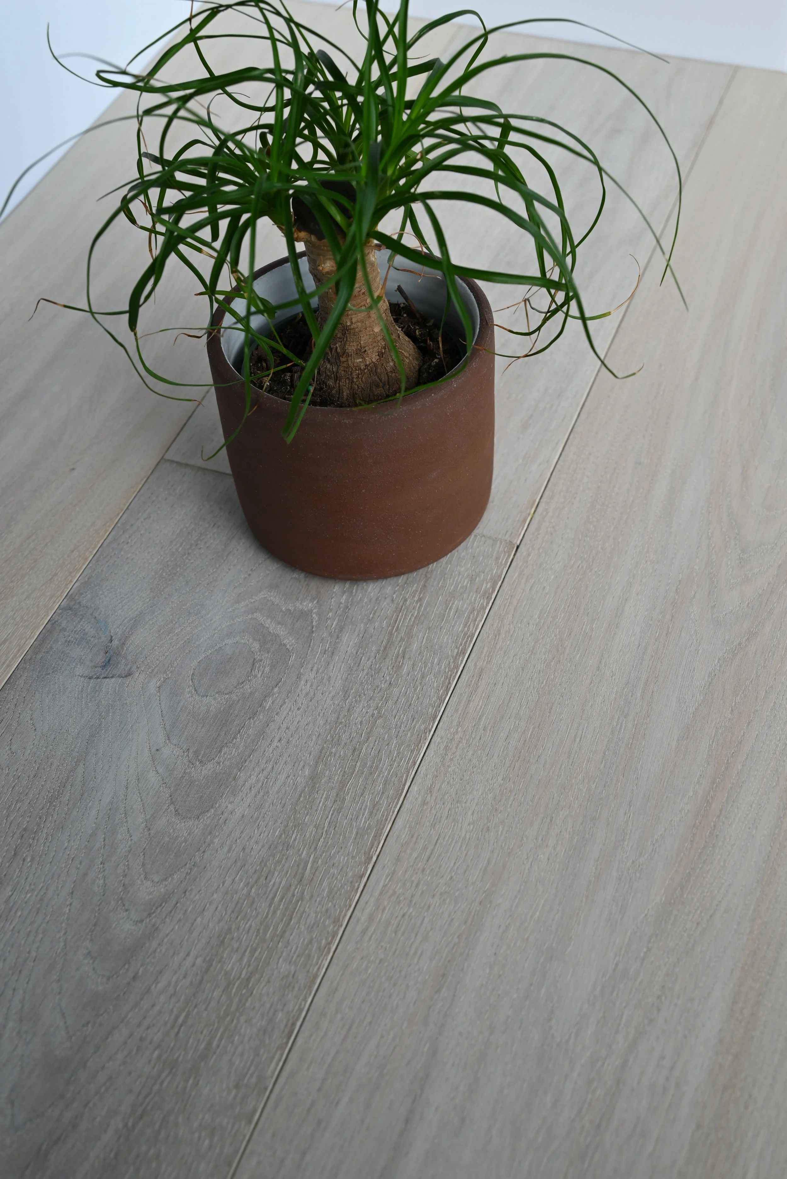Hardwood Floors | Environmentally Smart or Not?