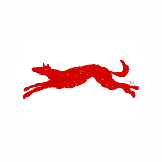 Dingologo(1).jpg