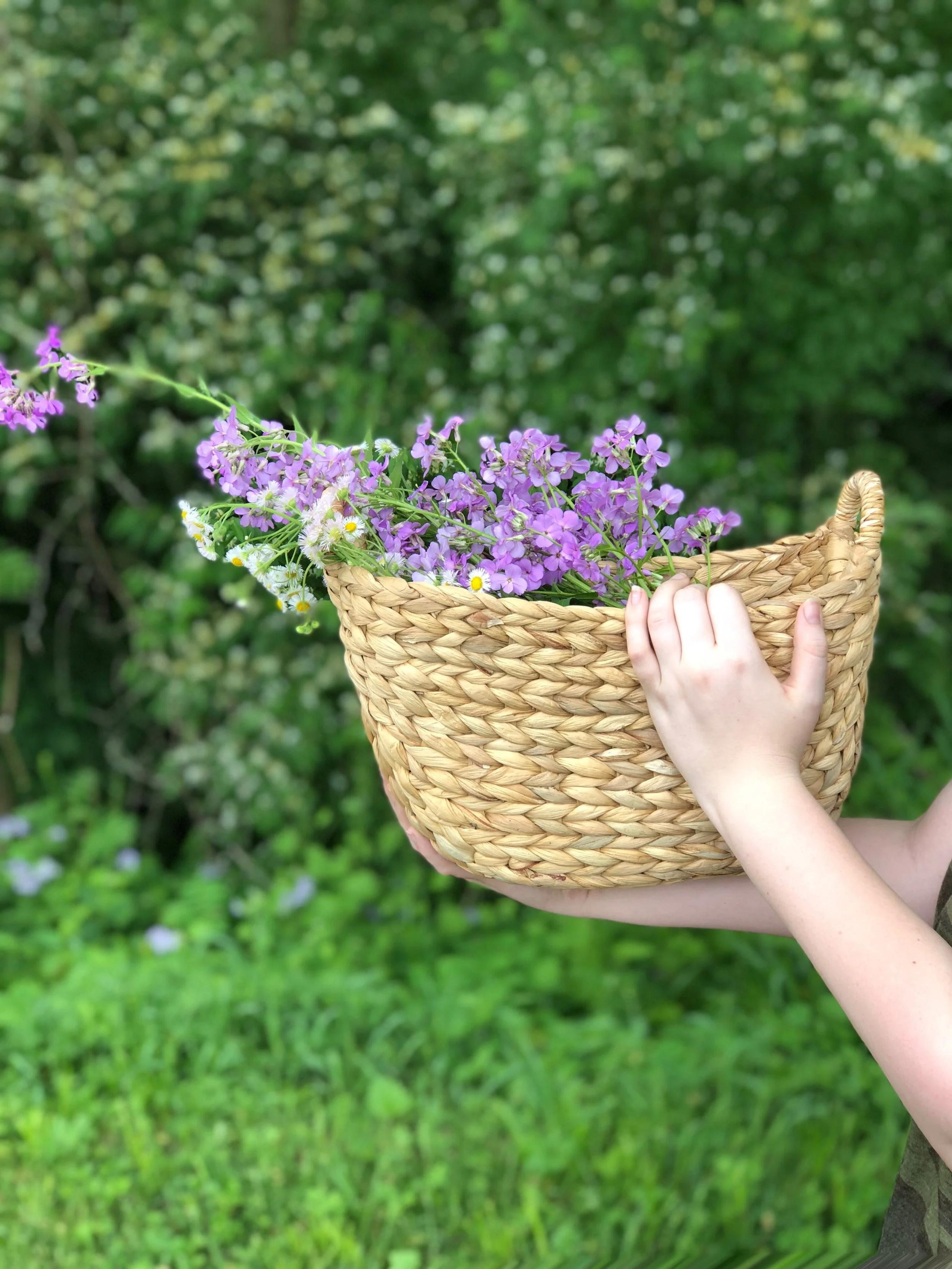 Foraging for medicine.