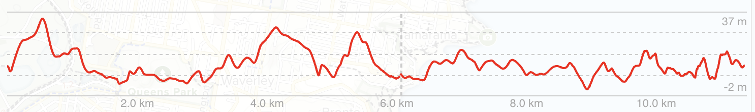 Topography Watsons Bay Wharf to Double Bay Wharf.png