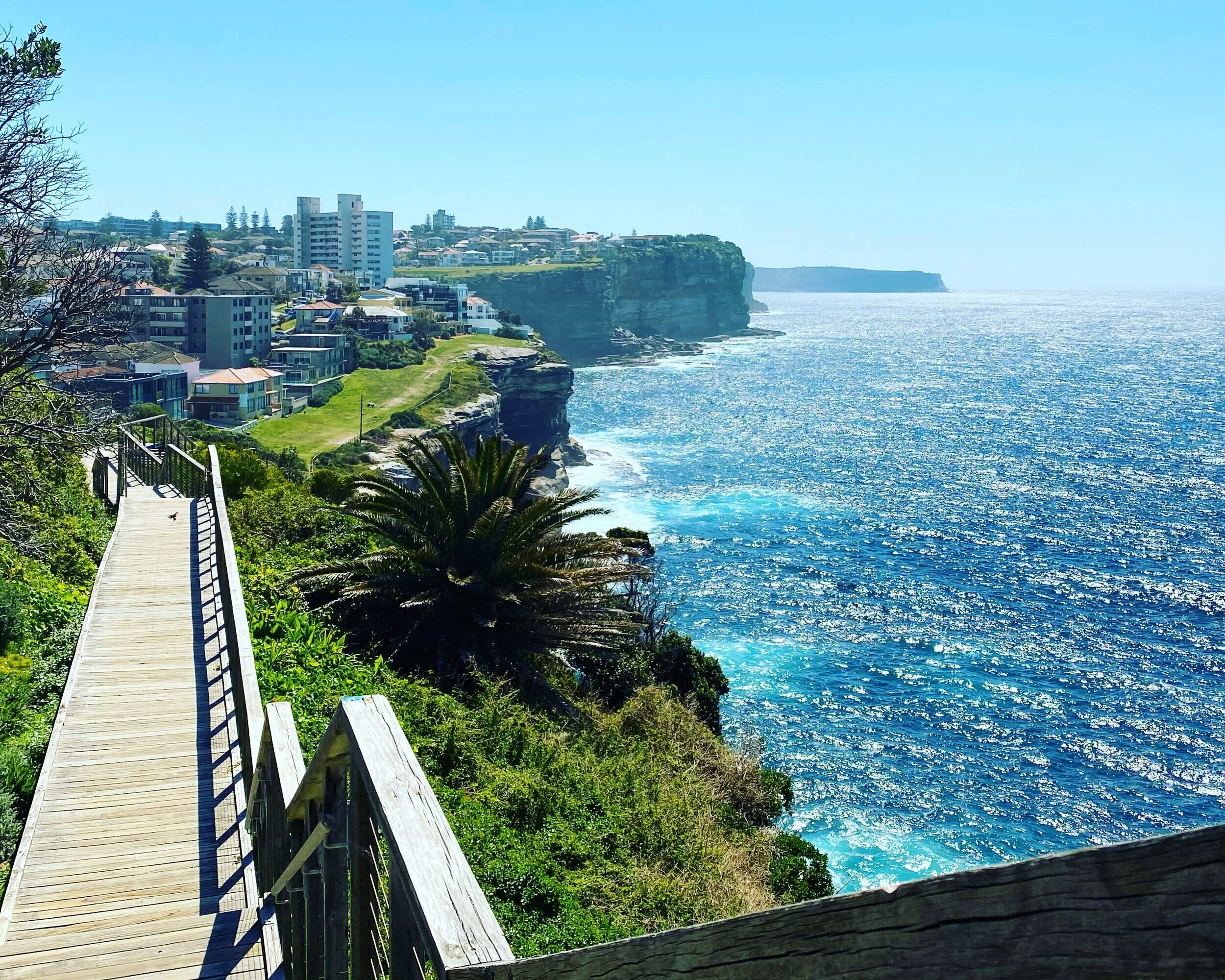 Manly To Bondi Walk | The Super Manly to Bondi Walk: a 7 Day Guide – WATQVT
