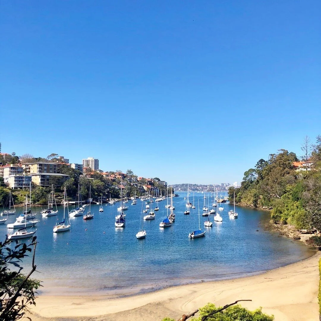 Join us for Clean Up Australia Day on Sunday 5 March!
The Bondi to Manly Walk is excited to be co-hosting this event with @mosmanrowers & @ecowalkstours
Meeting at 10:30am for a briefing and complimentary coffee, before heading out to clean up