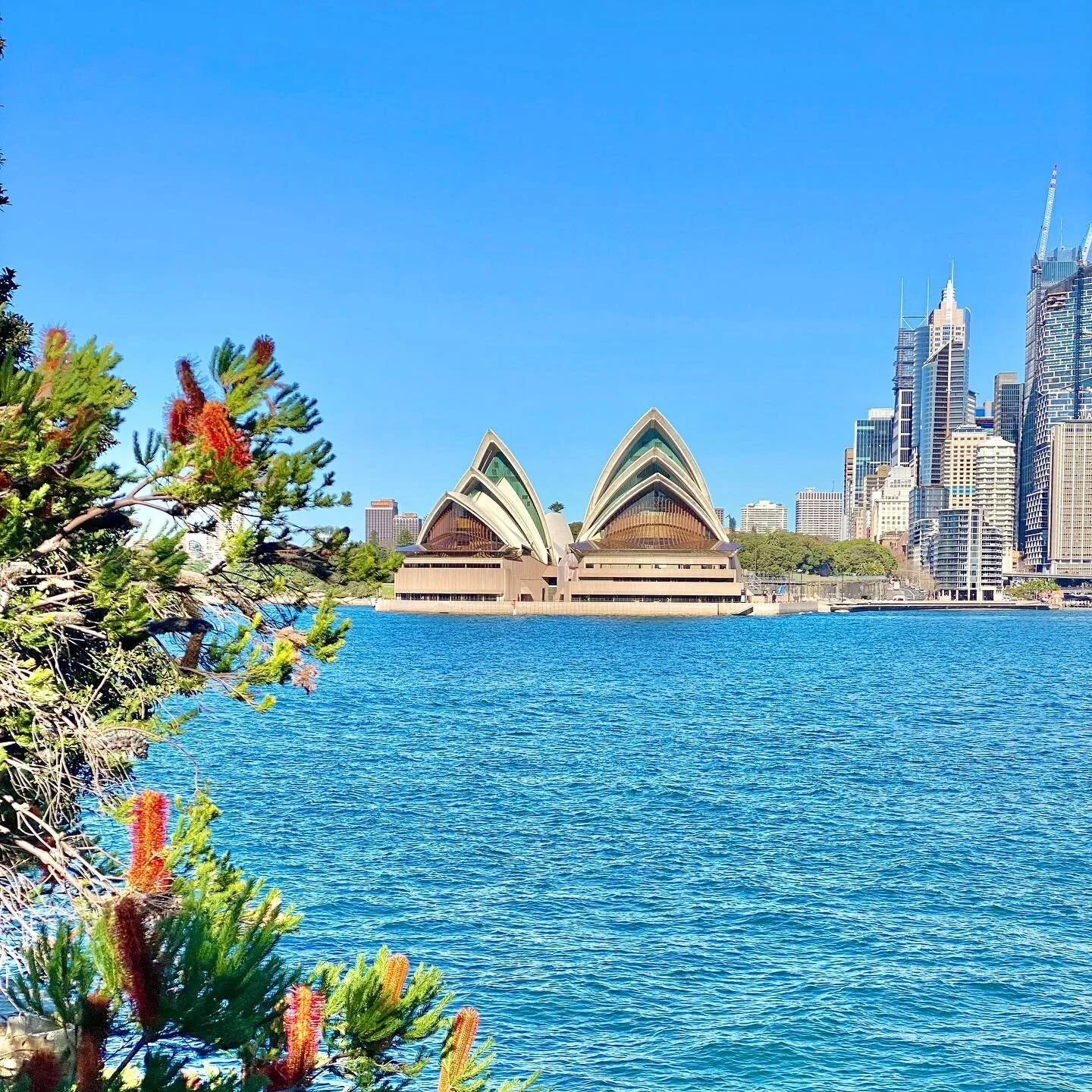 You’re Invited! Join us and other Friends of the Walk for our first Weekend Wander! 
DATE: Saturday 3rd June 
TIME: 8am 
DISTANCE: 6km
Meet at Wharf 6 at Circular Quay 
Starting at Circular Quay we’ll walk over the Harbour Bridge, takin