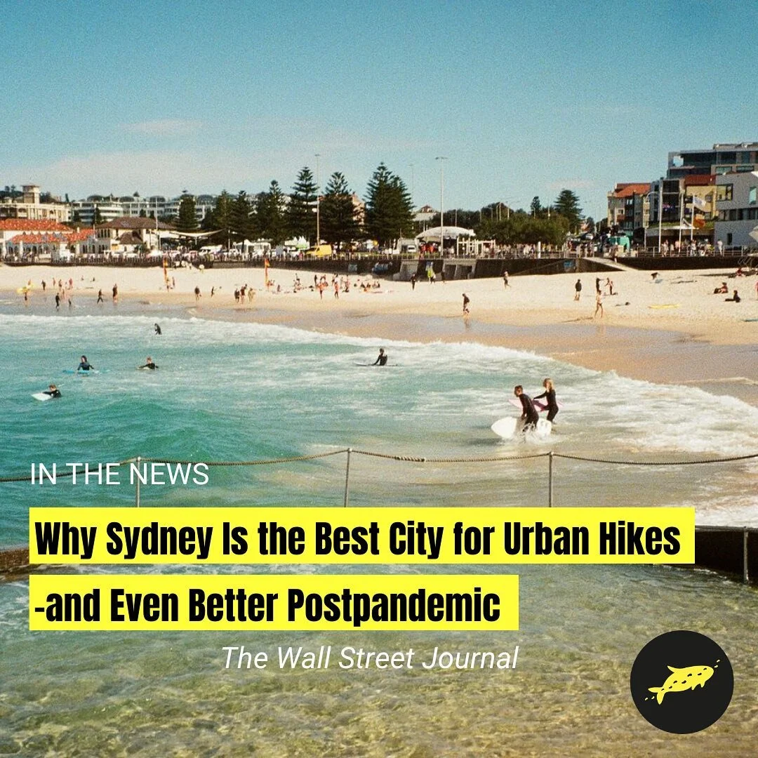 Travelling from overseas? The best cure for jetlag? A hike. 
According to the WSJ when you land in Sydney the best thing to do is explore Sydney by foot, take a walk, take a swim and refuel at one of the many water side venues. 
WSJ’s Tony Pe