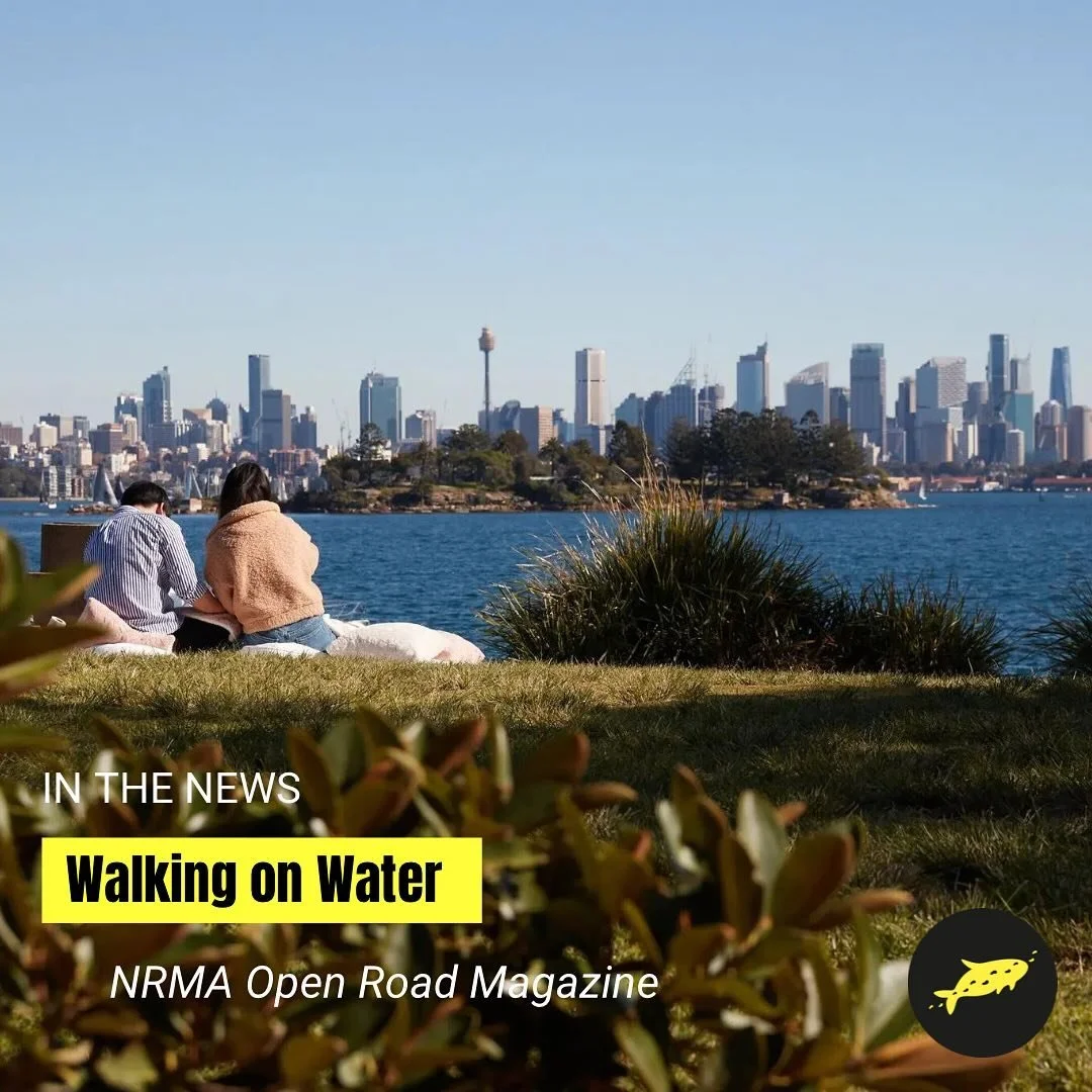 🗞️in the news 🗞️we are featured in this month’s NRMA Open Road magazine. Grab a copy to read about how the Bondi to Manly walk links two of Sydney’s most famous beaches, and “offers Indigenous, colonial and contemporary perspectiv