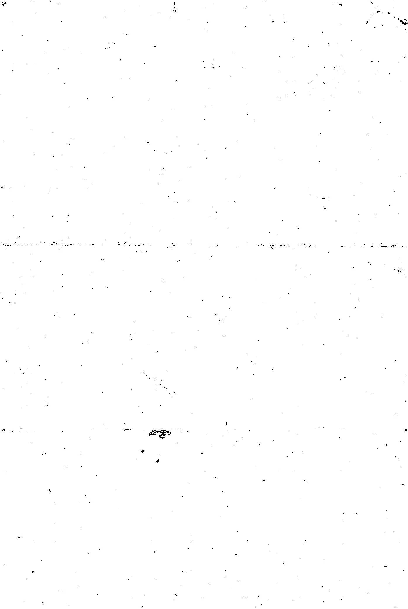 Scan 2017-07-12 13-28-07.jpeg