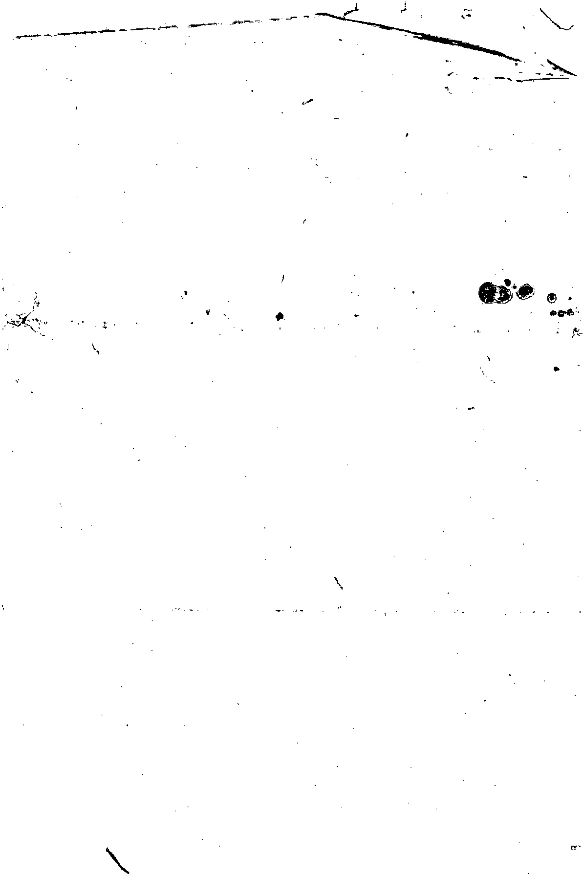 Scan 2017-07-12 13-32-13.jpeg