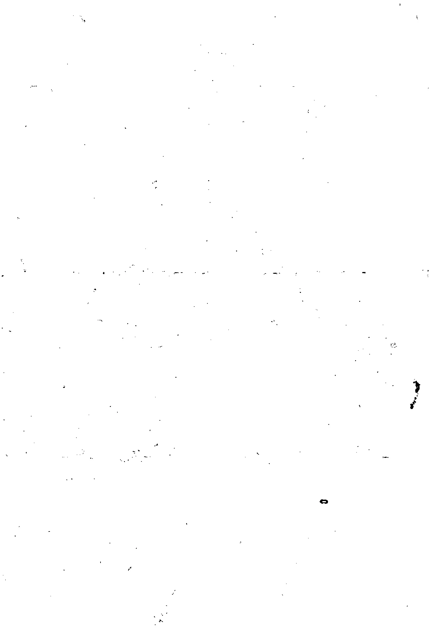 Scan 2017-07-12 13-37-39.jpeg