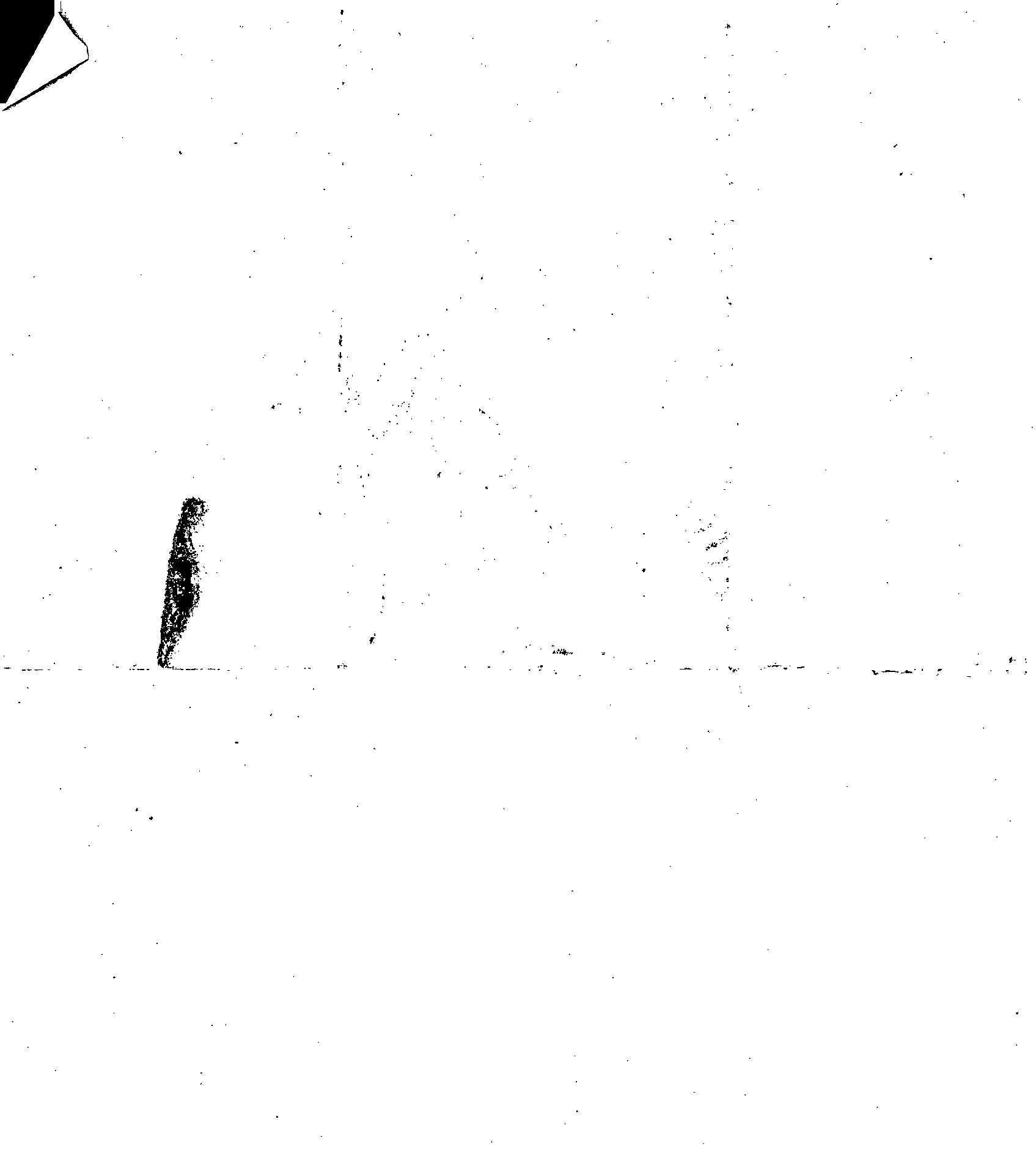 Scan 2017-07-12 13-38-27.jpeg