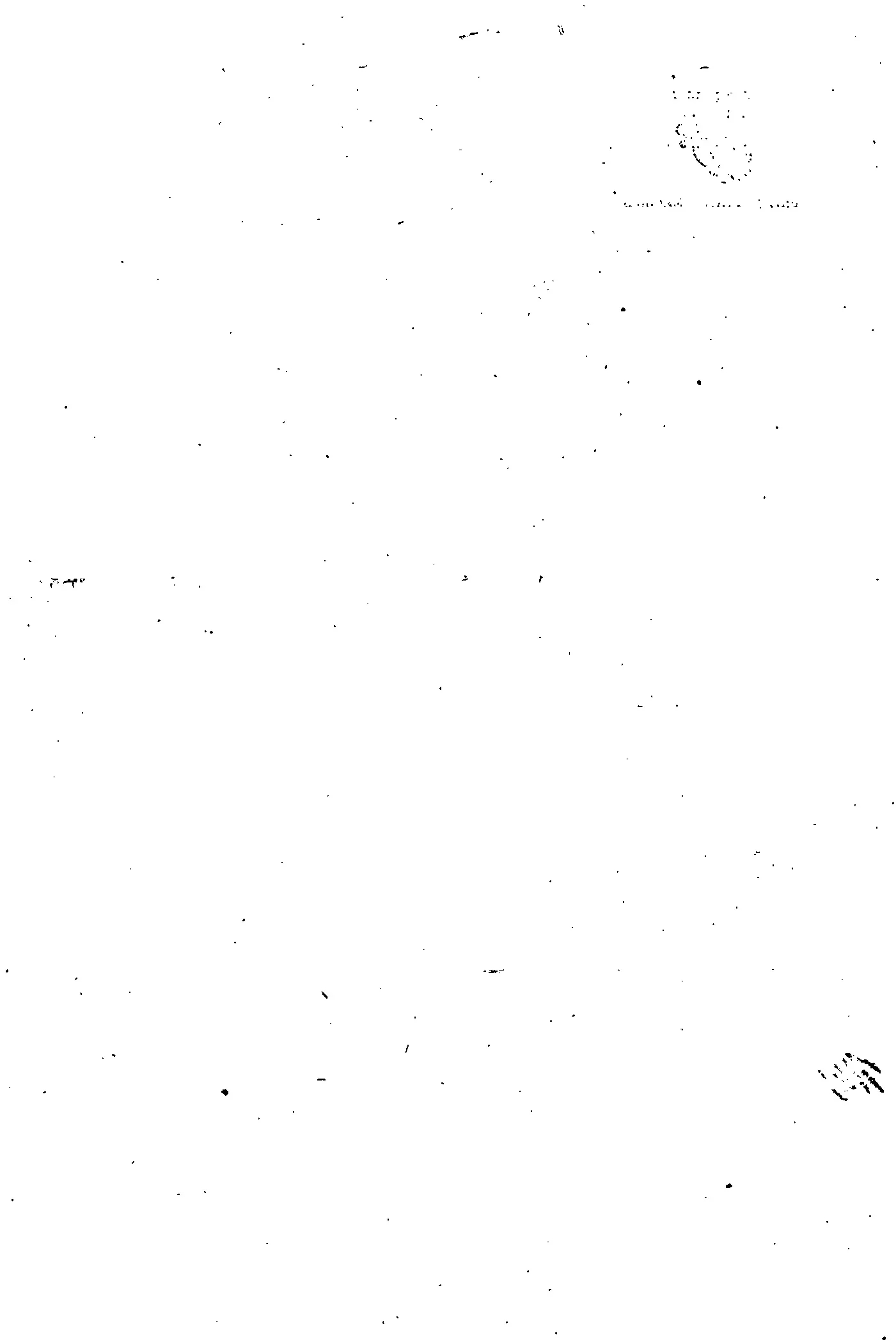 Scan 2017-07-12 13-39-54.jpeg