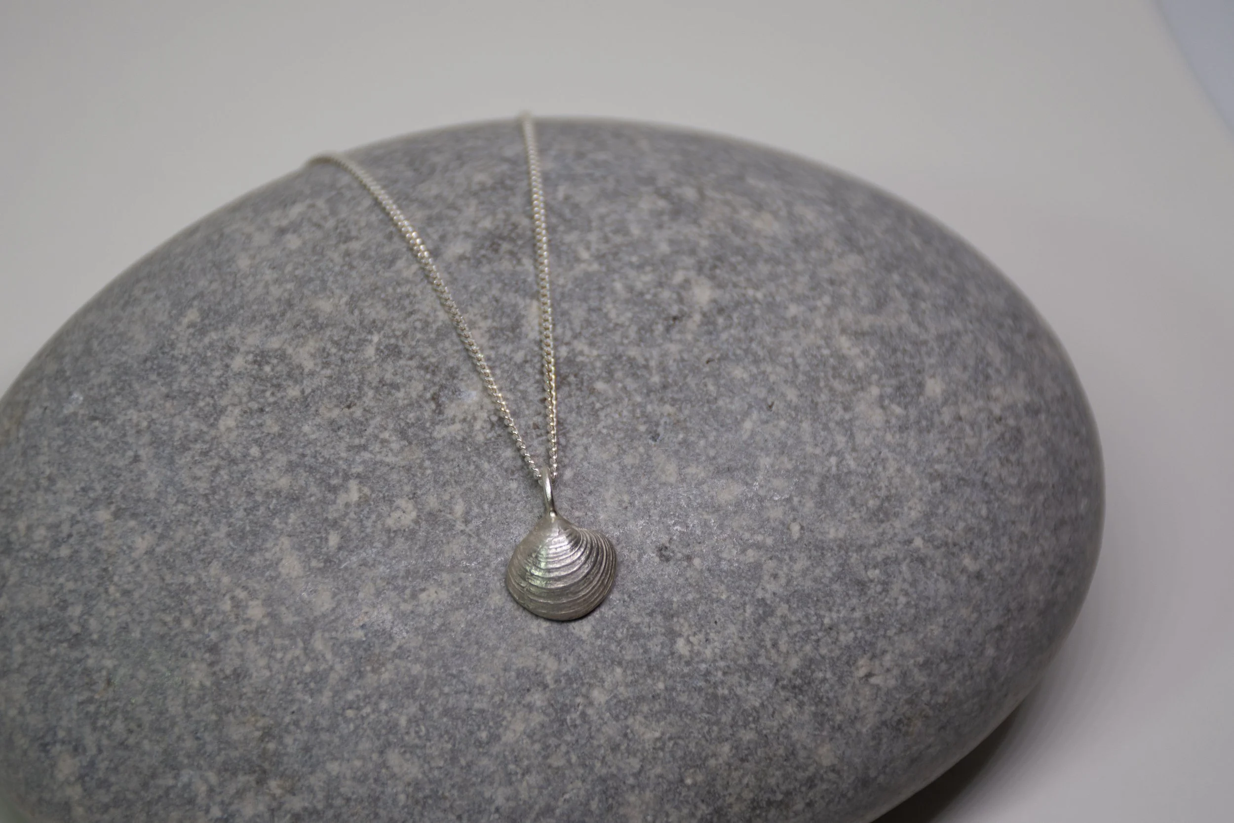 Petite Falmouth Clam Shell Necklace