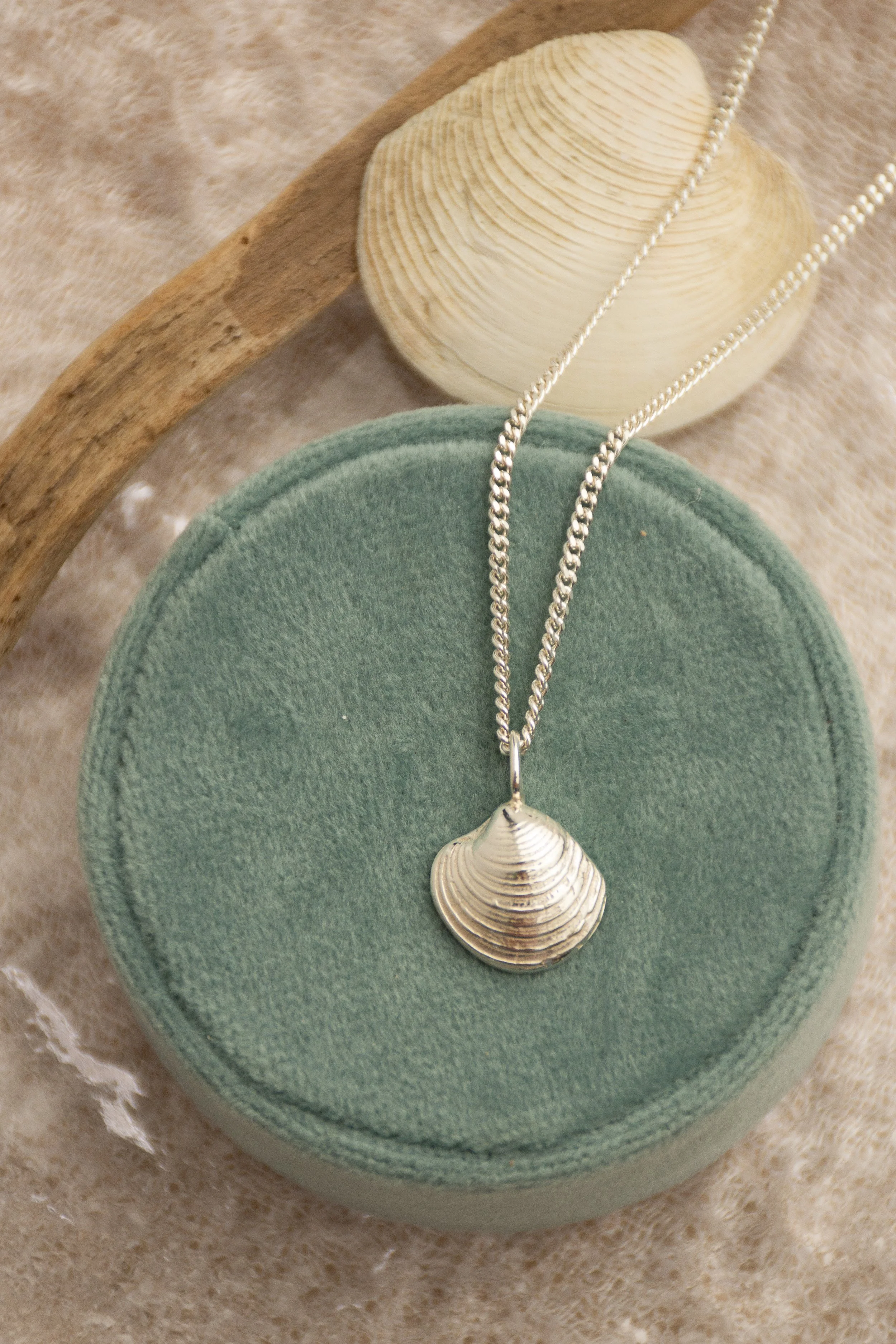 Falmouth Clam Shell Necklace