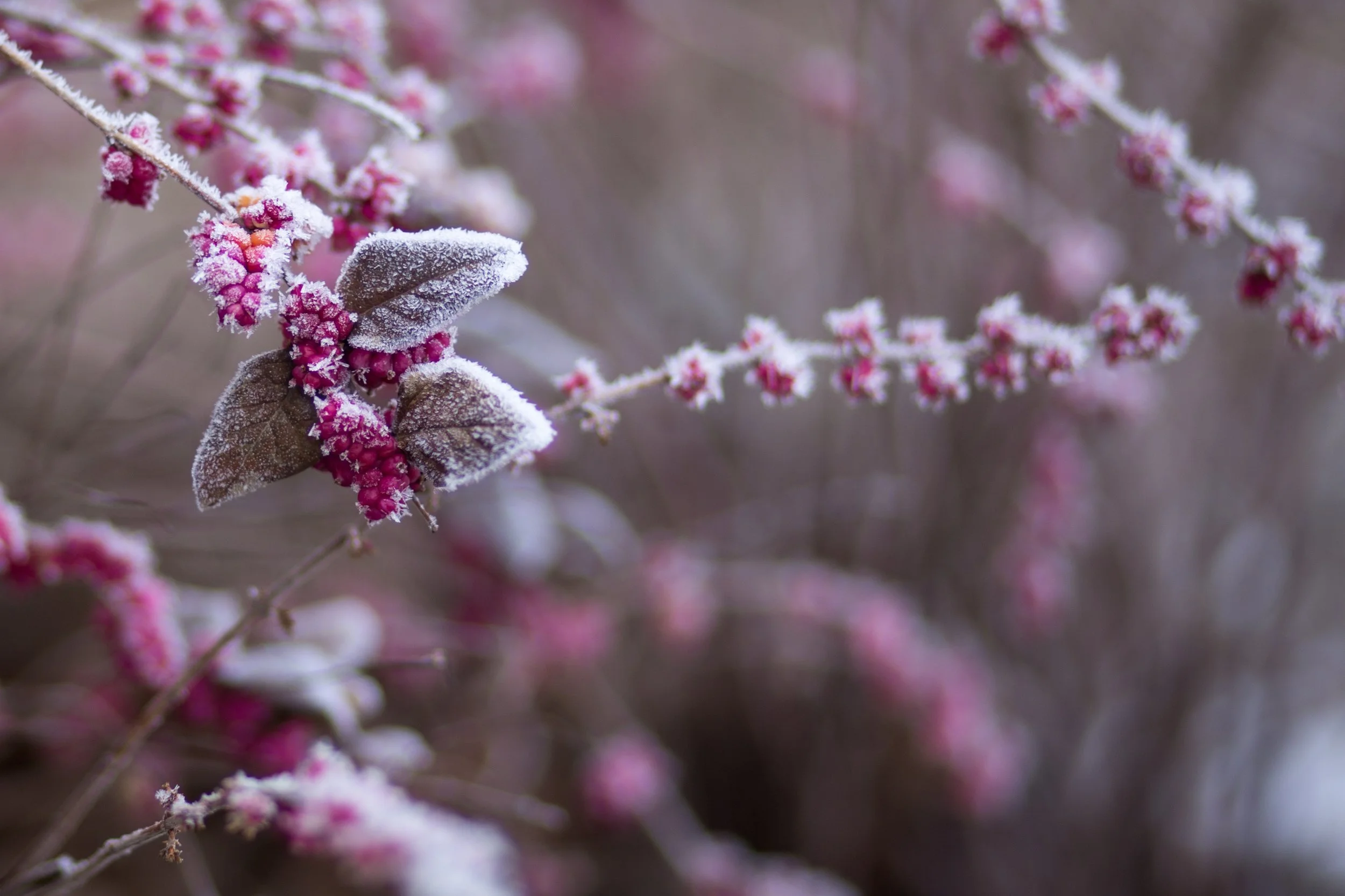 Photo by freestocks.org on Unsplash