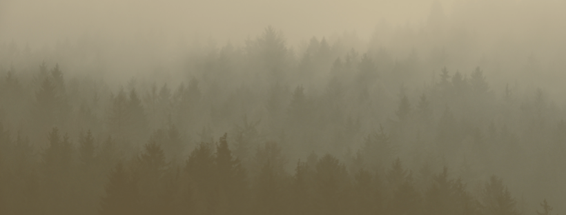 Copy of final (1).png