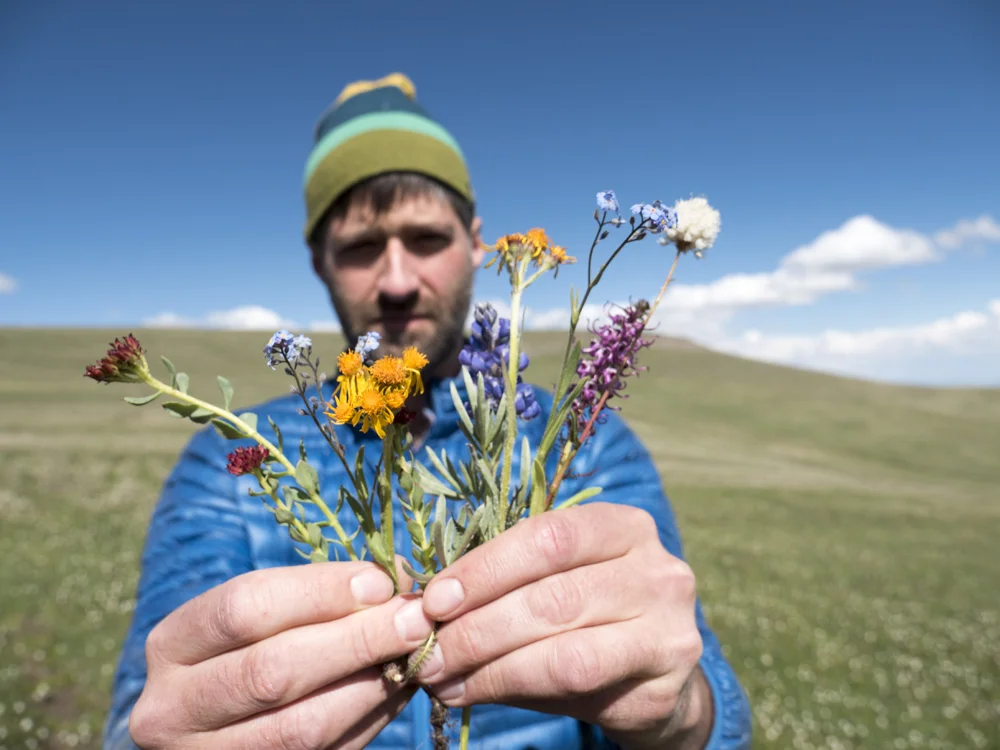 artist, writer, and naturalist