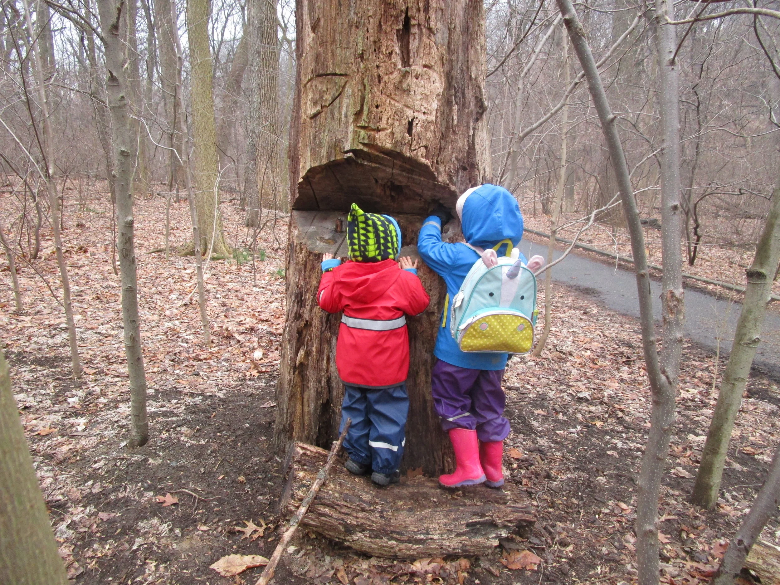 Boundless Spring Has Begun!