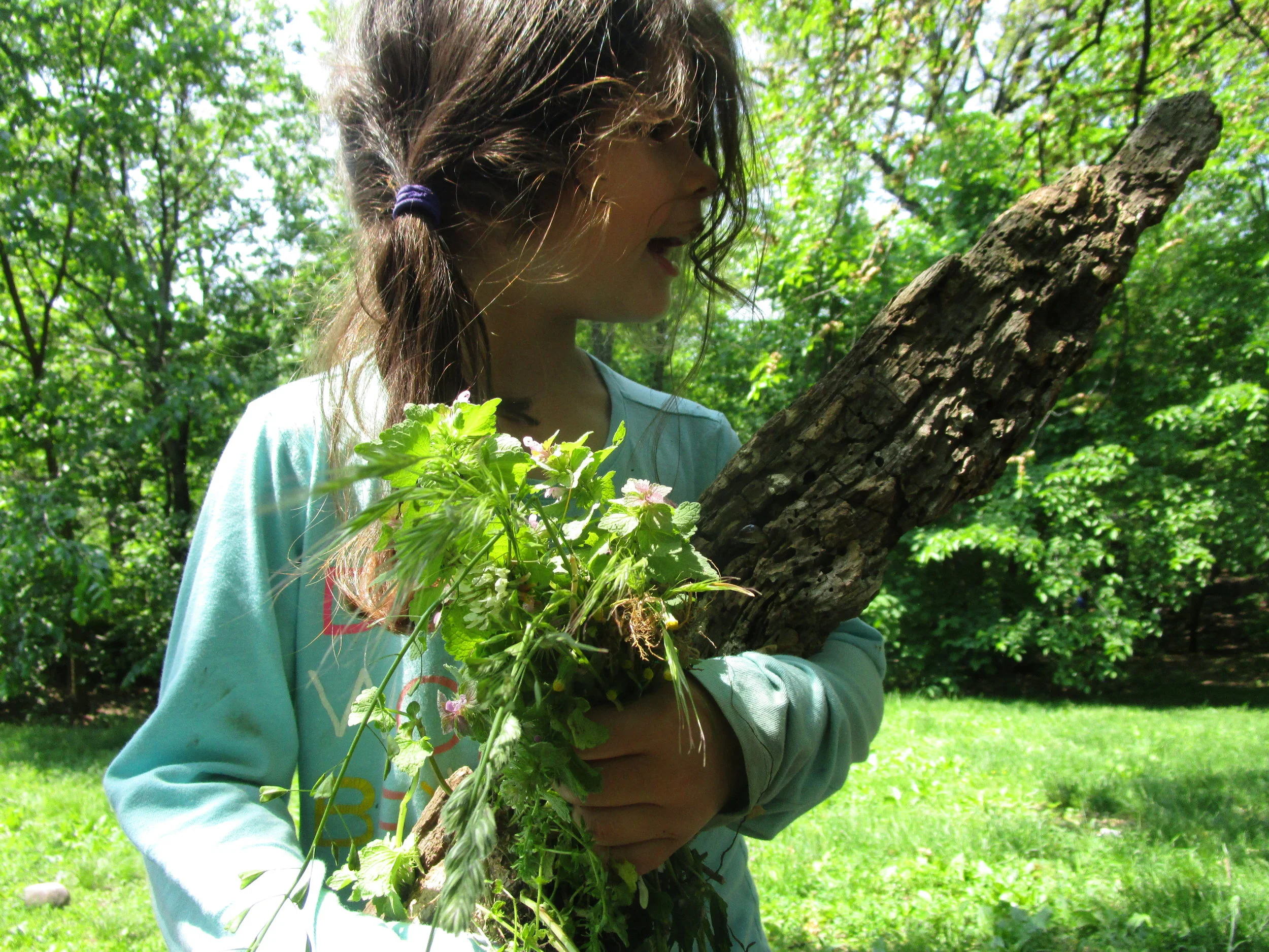 Summer Season & Memories of the In Bloom Conference