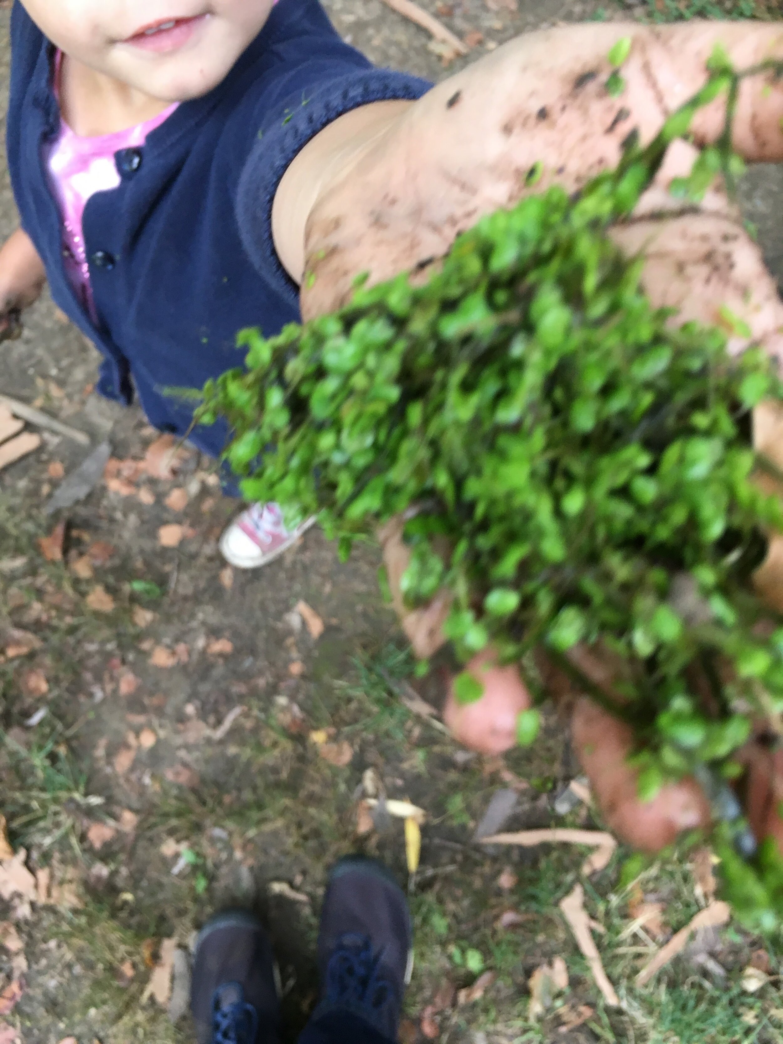 Young Leaders Fridays – NEW Online/Outdoor Class Centering Environmental Justice. (Per Class)