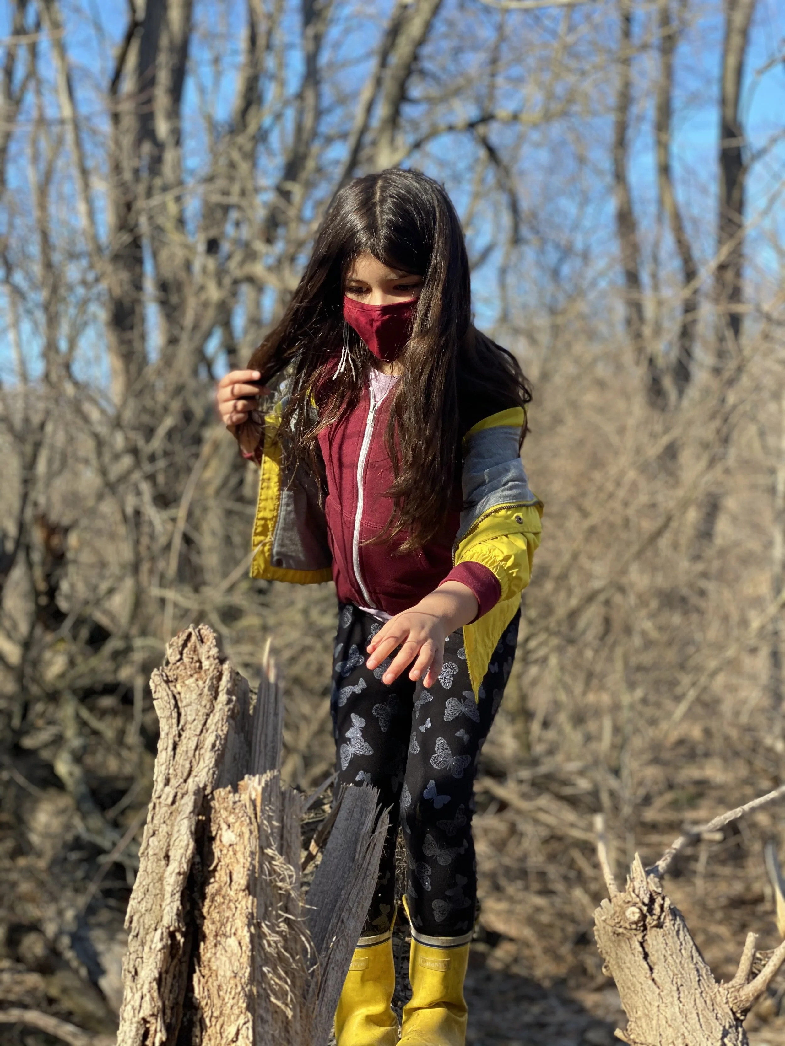 Fall Thursdays 10:00 am to Noon, North Woods