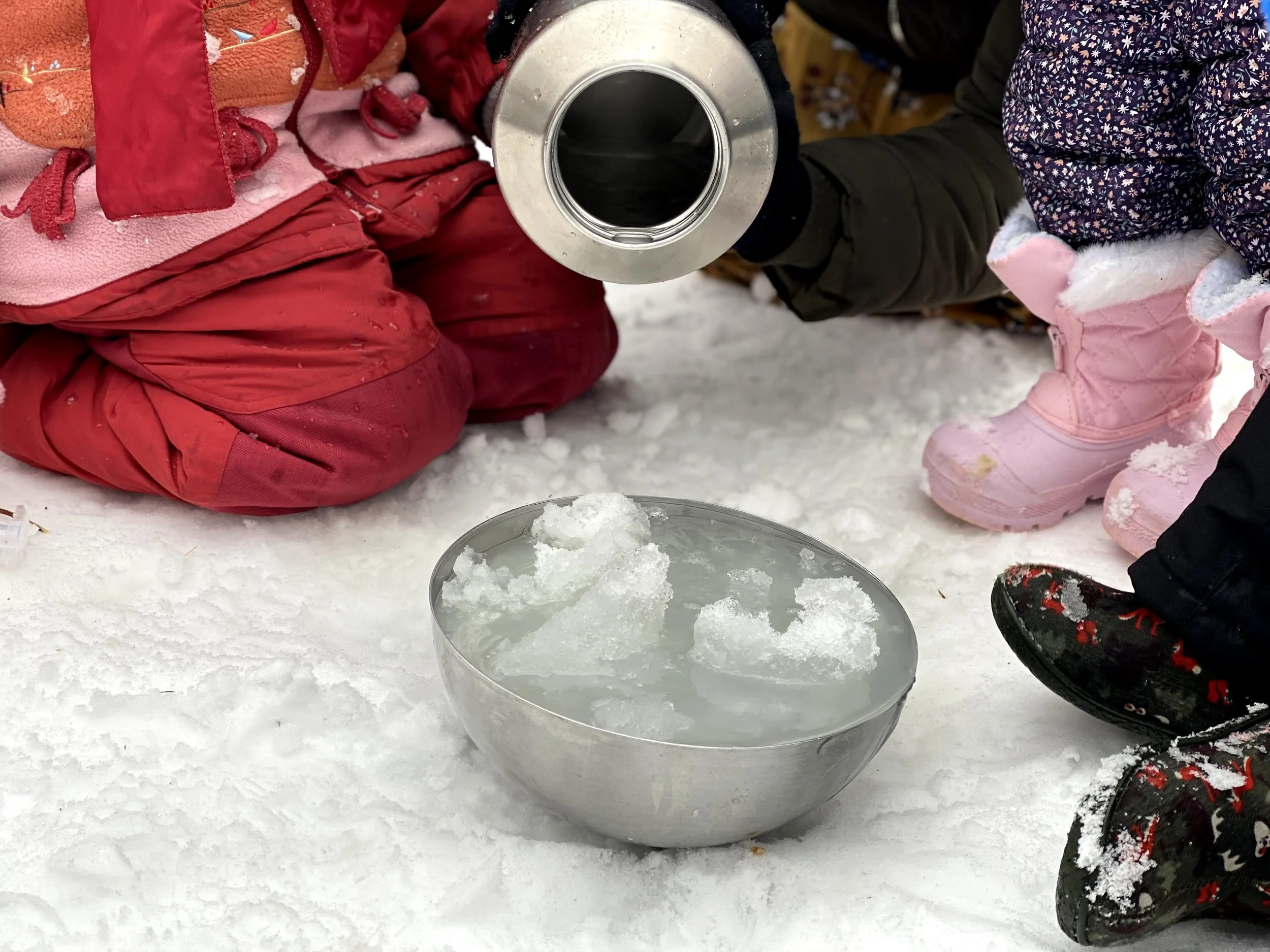 Winter Tuesdays 10:00 am to Noon, North Woods