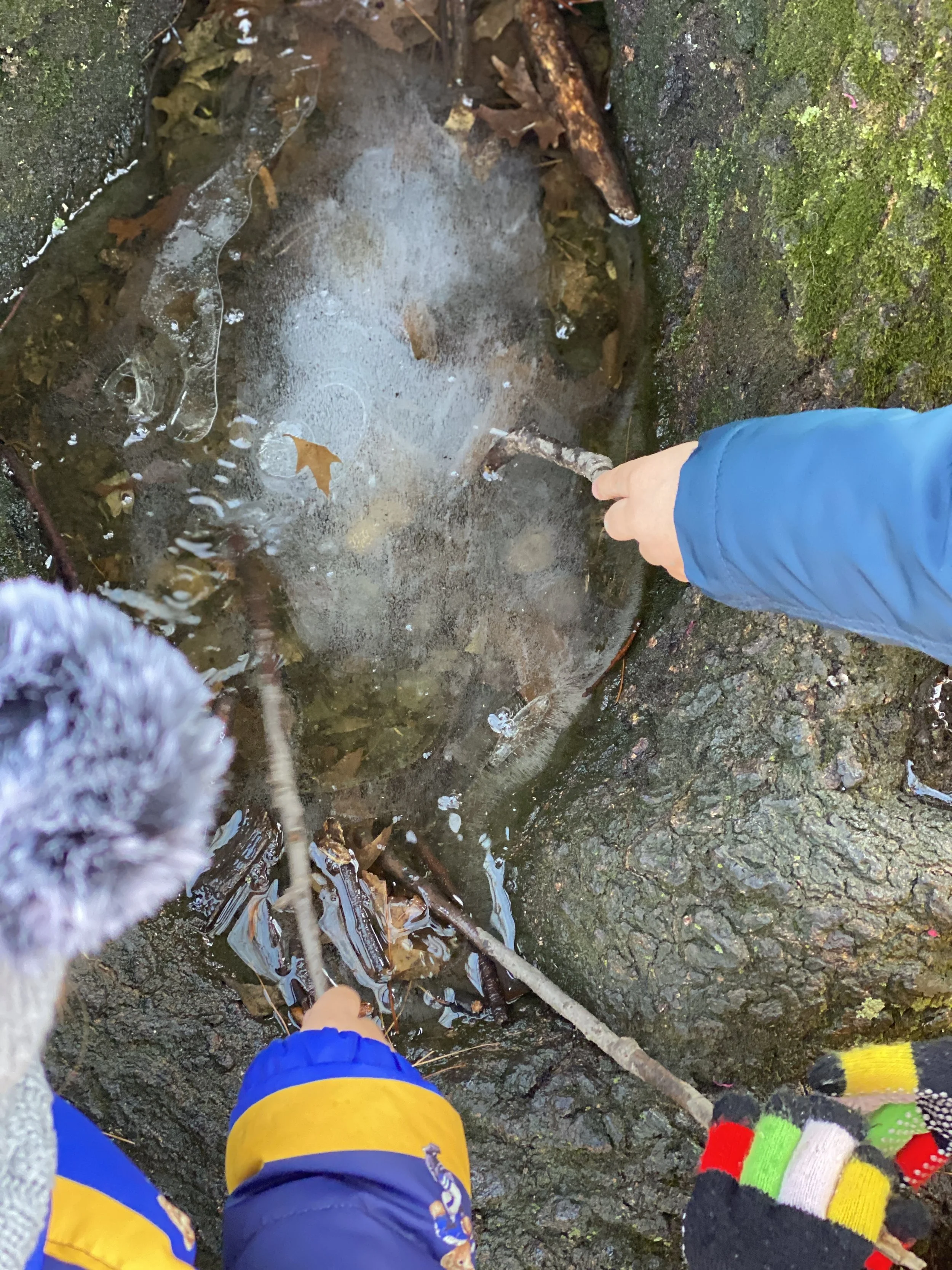 All the pieces that create joy in cold weather