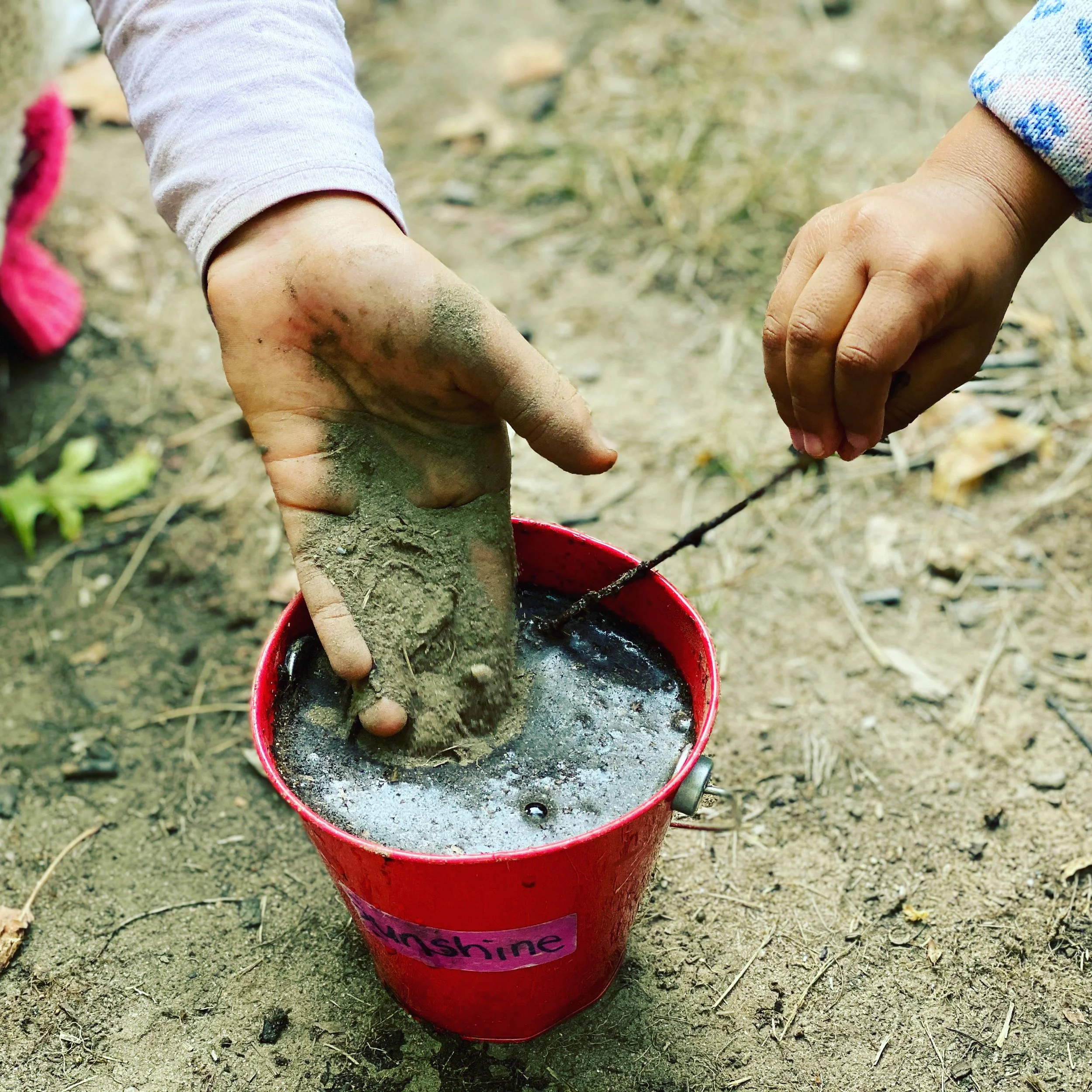 Learning to be better stewards of the planet