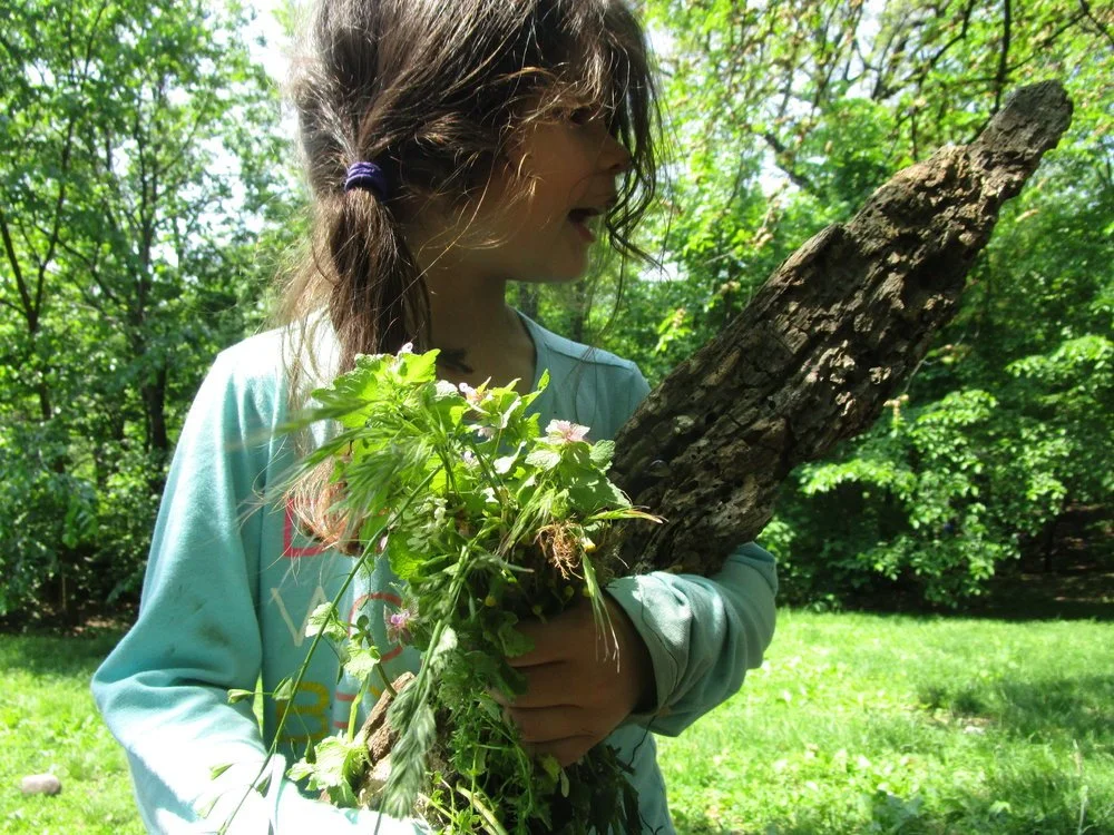 Get Inspired in Nature