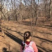 Thinking About Forests